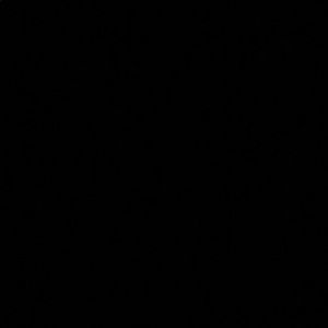 Meet your Posher, Brayan